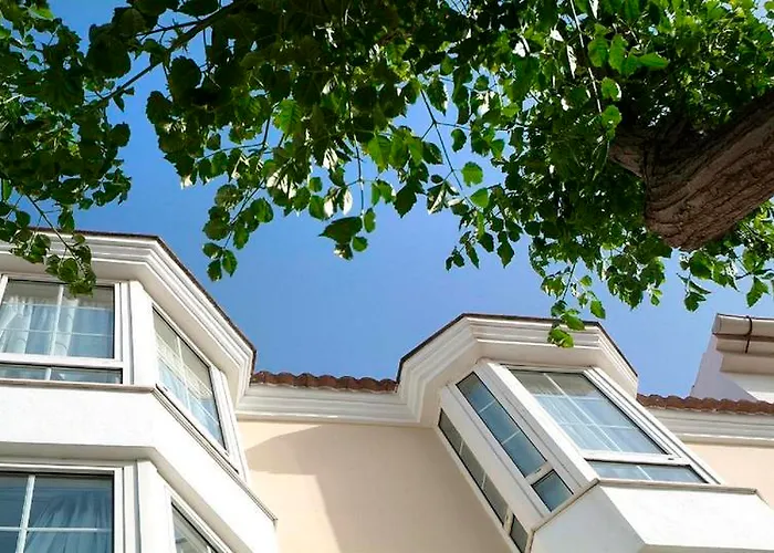 Patricia Menorca 休达德亚